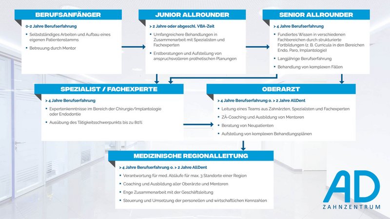 Abbildung Karrierestufen für Zahnärzte AD Zahnzentrum Dortmund